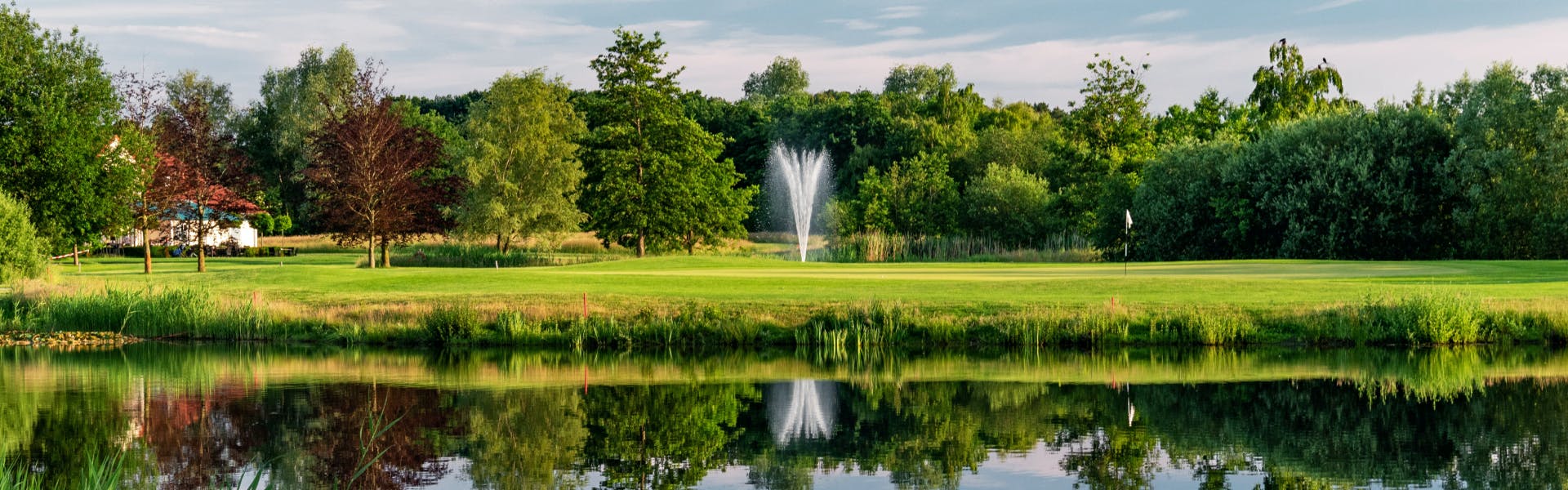 Achimer_golf_club_transformation_with_trackman